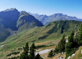 010 - gumm und waadtländer alpen